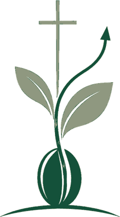 Graine de Géant