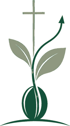 Graine de Géant